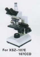 المجهر البيولوجي ,المجهر 