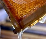 العسل ومنتجات العسل