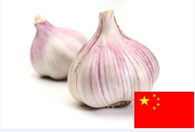 Purple Garlic       ,Garlic