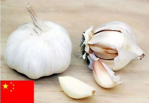 White Garlic        ,Garlic