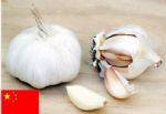 White Garlic        