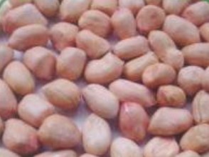 peanut kernels round shape,Grain & Nuts & Kernels