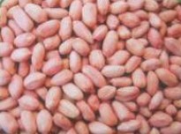 peanut luhua type,Grain & Nuts & Kernels