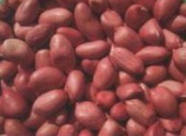 peanut red skin hernels,Grain & Nuts & Kernels