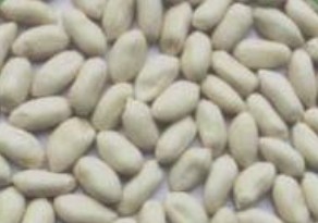 blanched peanut kernels,Grain & Nuts & Kernels