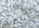 satted snow white pumpkin seeds