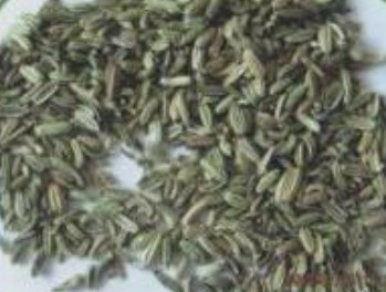 fennel seeds,Seasonings & Condiments