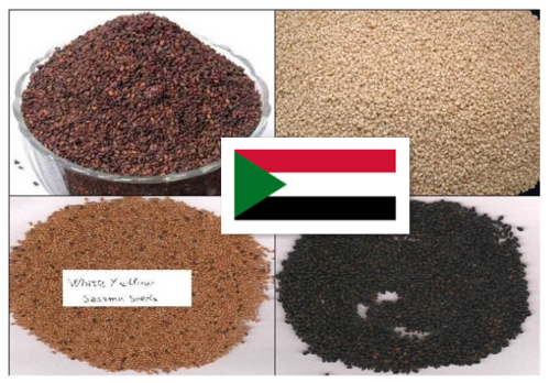 Sudan Sesame Seed,Grain & Nuts & Kernels