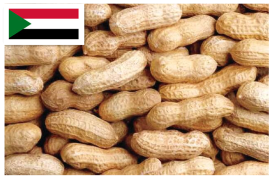 Sudão Peanut,Grãos & Nuts & Grãos