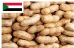 Sudan Peanut